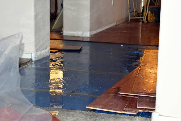 Professional Basement Flood Cleanup technician working in Malcolm, NE